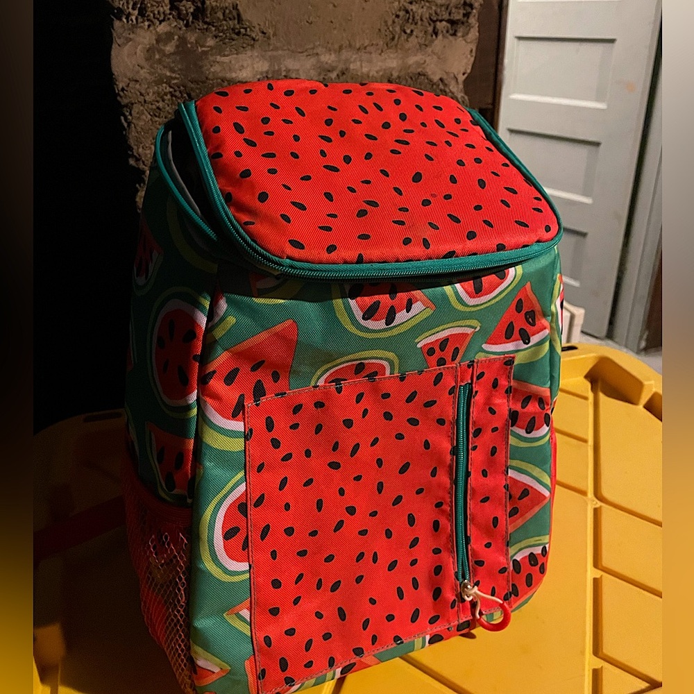 Target Watermelon Cooler backpack